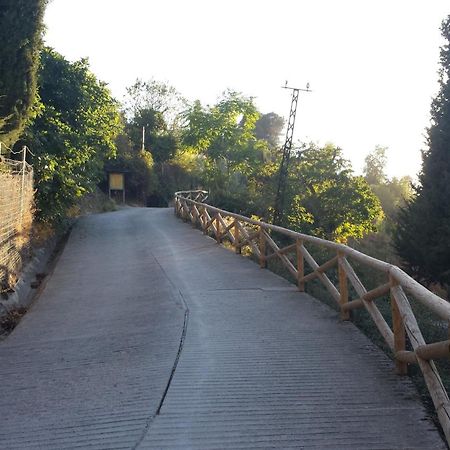קאסורלה Alojamiento Rural La Casilla מראה חיצוני תמונה
